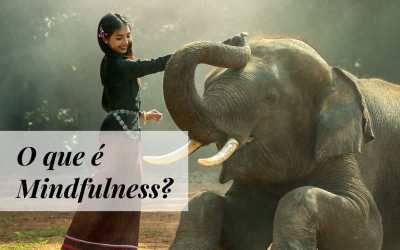 O que é Mindfulness?